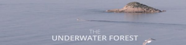 nature documentary-costa-blanca-spain