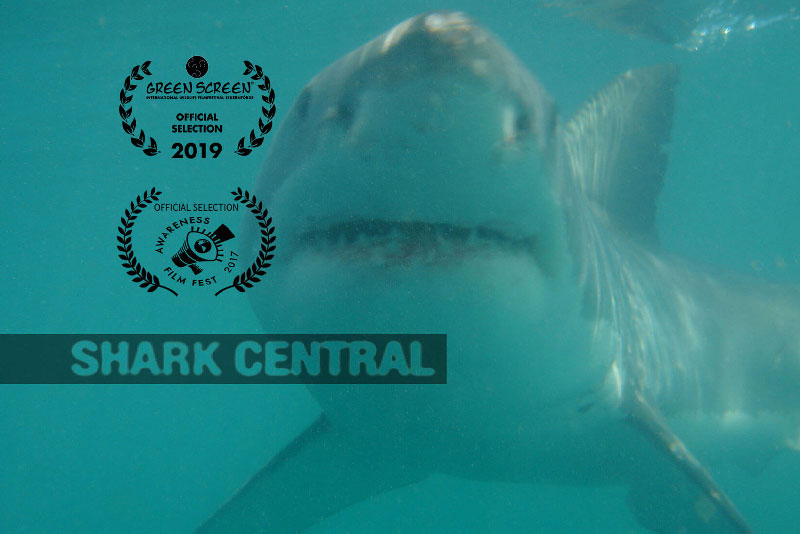 video-production-spain